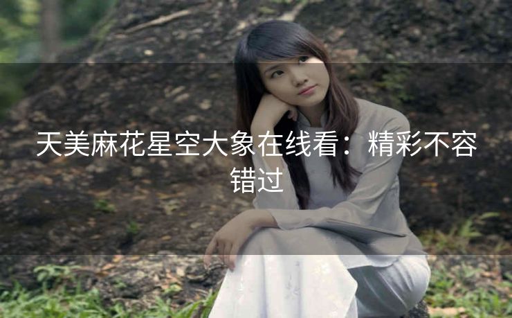 天美麻花星空大象在线看：精彩不容错过