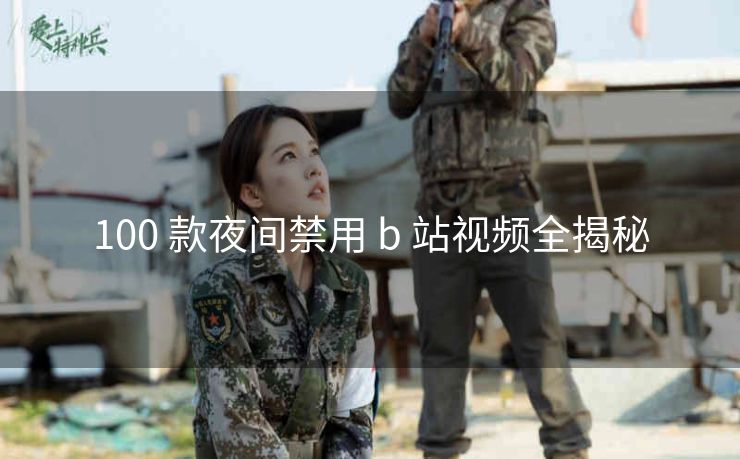 100 款夜间禁用 b 站视频全揭秘