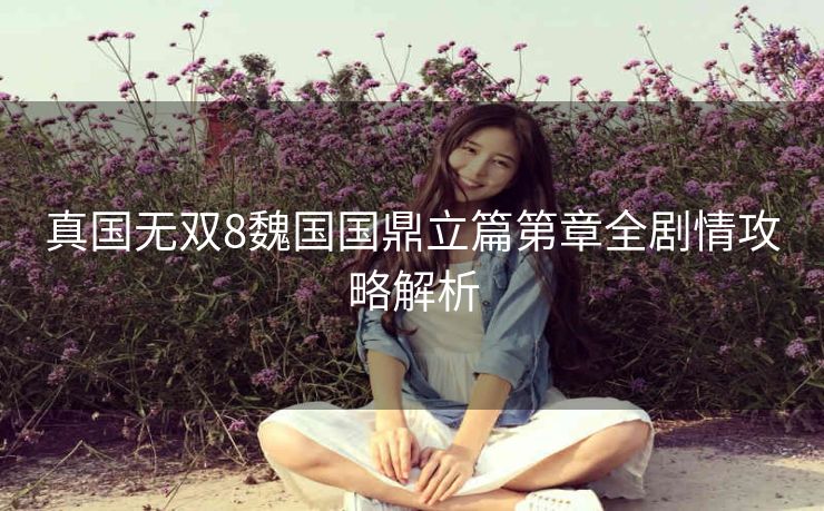 真国无双8魏国国鼎立篇第章全剧情攻略解析