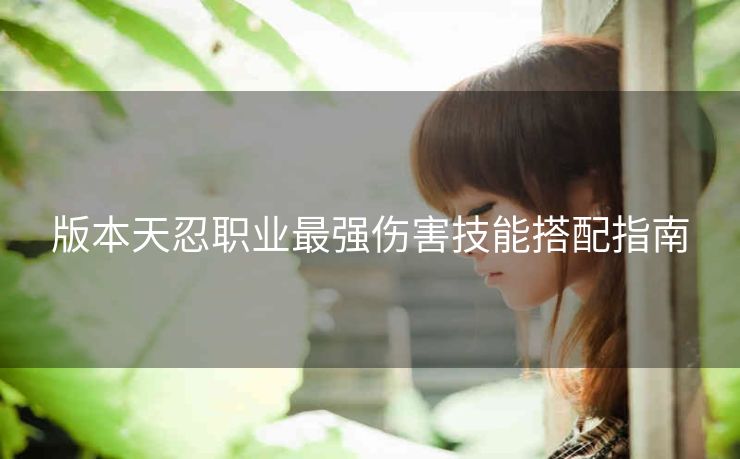 版本天忍职业最强伤害技能搭配指南