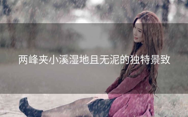 两峰夹小溪湿地且无泥的独特景致