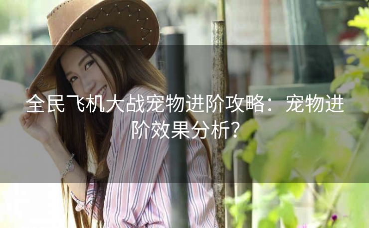 全民飞机大战宠物进阶攻略：宠物进阶效果分析？