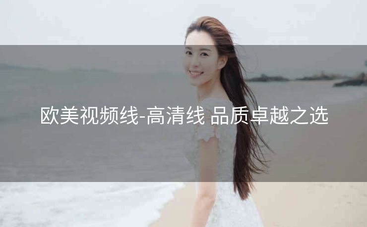 欧美视频线-高清线 品质卓越之选