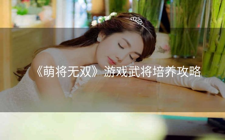 《萌将无双》游戏武将培养攻略