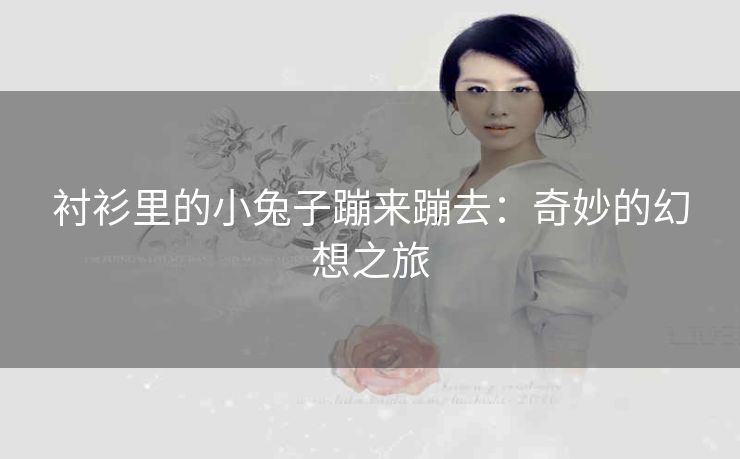 衬衫里的小兔子蹦来蹦去：奇妙的幻想之旅