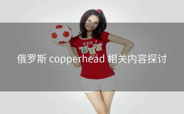 俄罗斯 copperhead 相关内容探讨