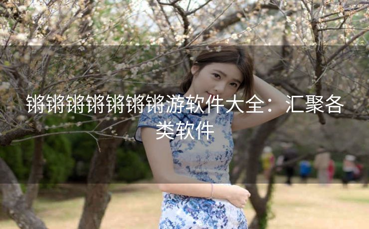 锵锵锵锵锵锵锵游软件大全：汇聚各类软件