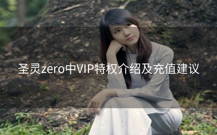 圣灵zero中VIP特权介绍及充值建议