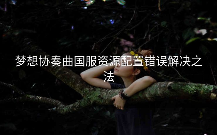 梦想协奏曲国服资源配置错误解决之法