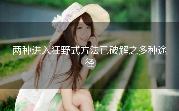两种进入狂野式方法已破解之多种途径