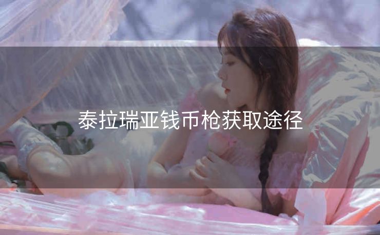 泰拉瑞亚钱币枪获取途径