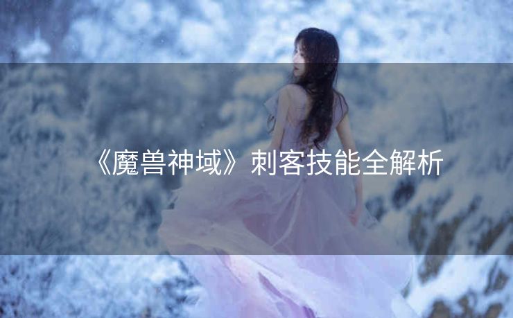 《魔兽神域》刺客技能全解析