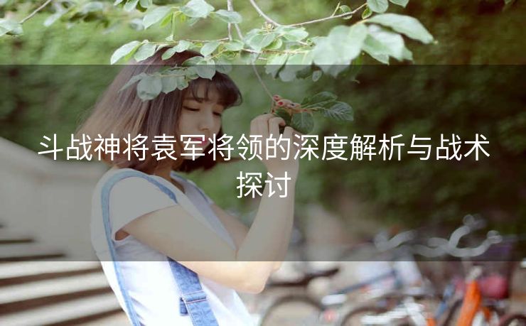斗战神将袁军将领的深度解析与战术探讨
