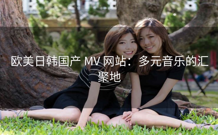 欧美日韩国产 MV 网站：多元音乐的汇聚地