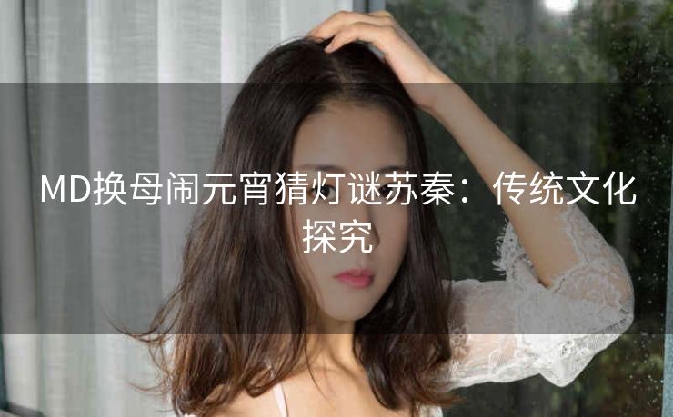 MD换母闹元宵猜灯谜苏秦：传统文化探究