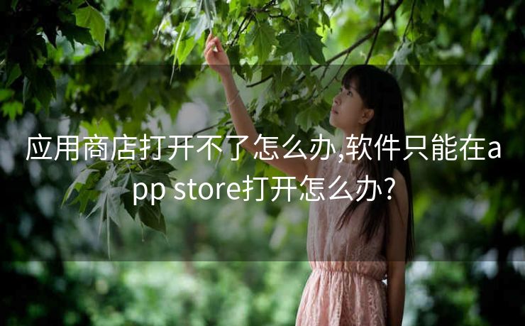 应用商店打开不了怎么办,软件只能在app store打开怎么办?