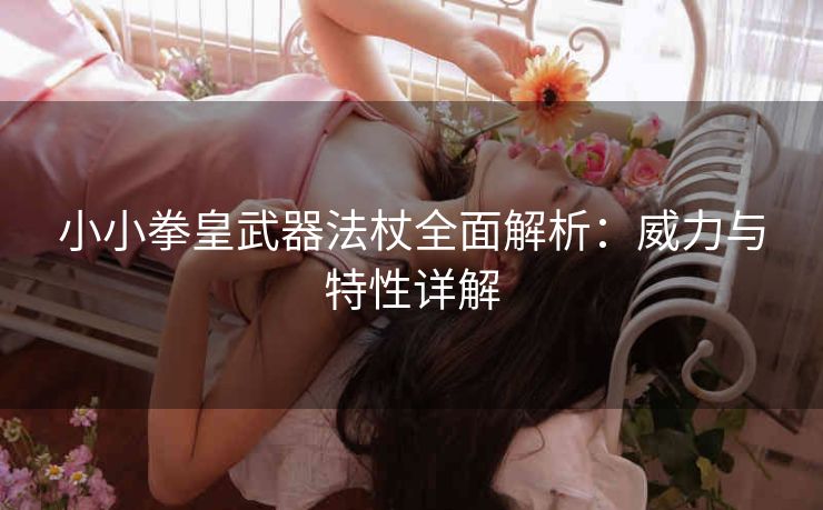 小小拳皇武器法杖全面解析：威力与特性详解