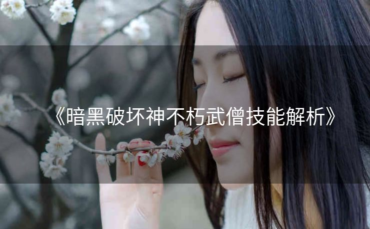 《暗黑破坏神不朽武僧技能解析》