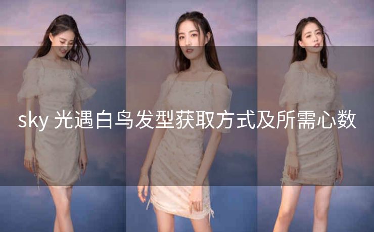 sky 光遇白鸟发型获取方式及所需心数