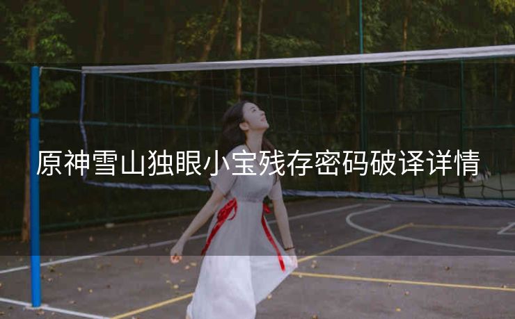 原神雪山独眼小宝残存密码破译详情