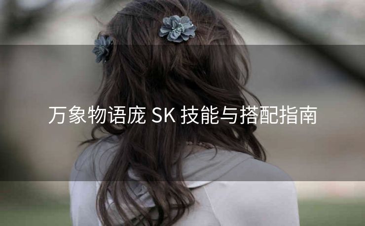 万象物语庞 SK 技能与搭配指南