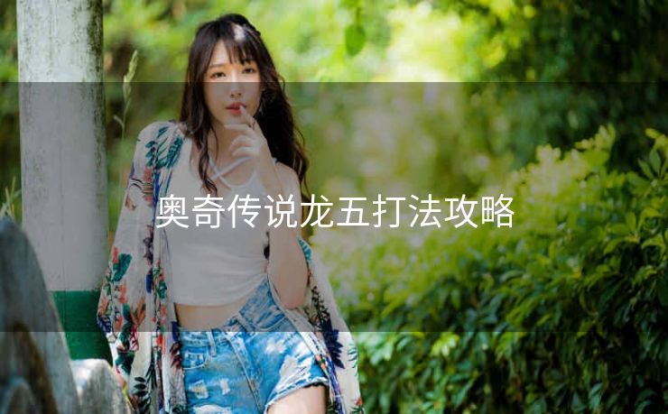 奥奇传说龙五打法攻略