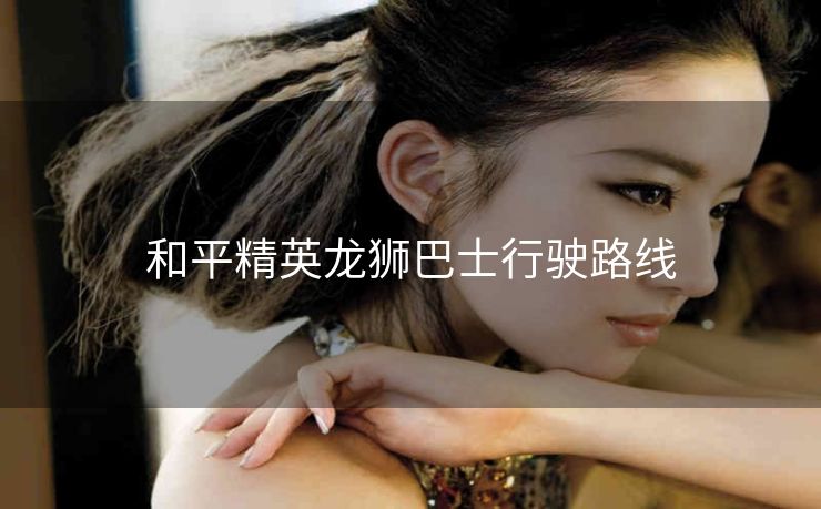 和平精英龙狮巴士行驶路线
