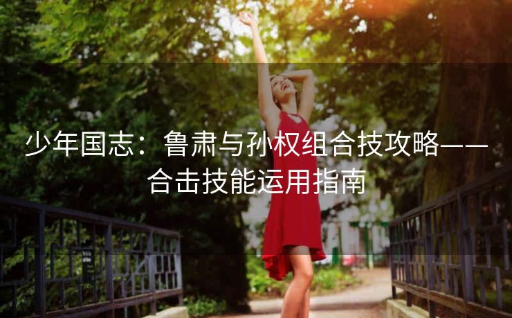 少年国志：鲁肃与孙权组合技攻略——合击技能运用指南