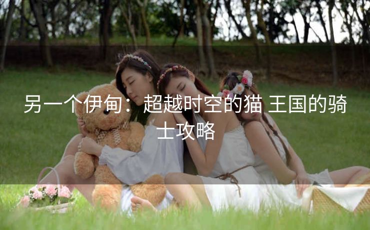 另一个伊甸：超越时空的猫 王国的骑士攻略