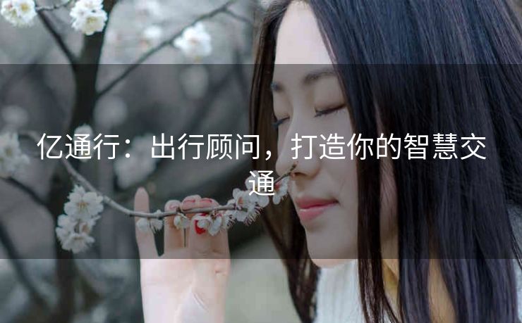 亿通行：出行顾问，打造你的智慧交通