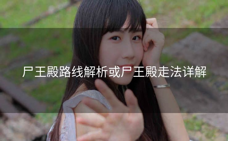 尸王殿路线解析或尸王殿走法详解