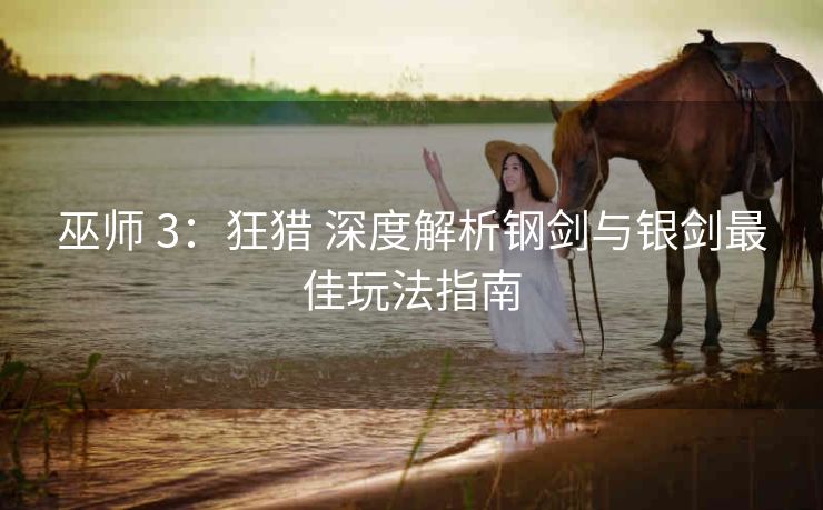 巫师 3：狂猎 深度解析钢剑与银剑最佳玩法指南