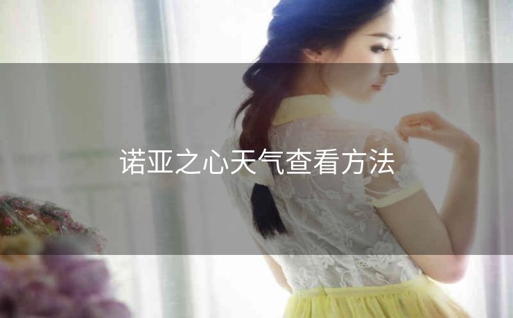 诺亚之心天气查看方法
