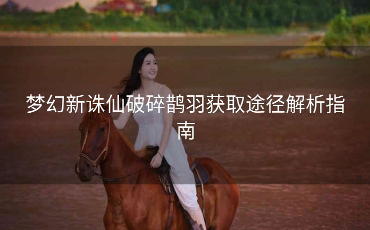 梦幻新诛仙破碎鹊羽获取途径解析指南