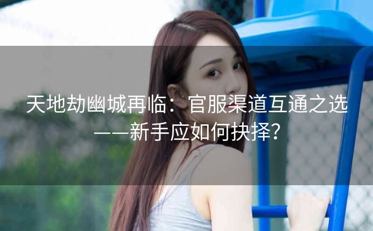 天地劫幽城再临：官服渠道互通之选——新手应如何抉择？