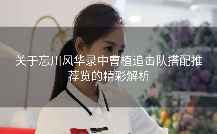 关于忘川风华录中曹植追击队搭配推荐览的精彩解析
