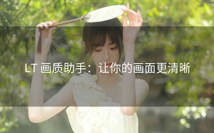 LT 画质助手：让你的画面更清晰