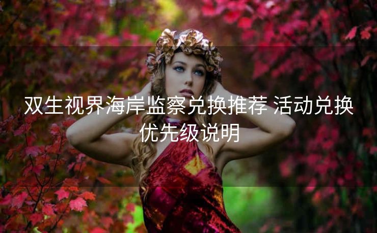 双生视界海岸监察兑换推荐 活动兑换优先级说明