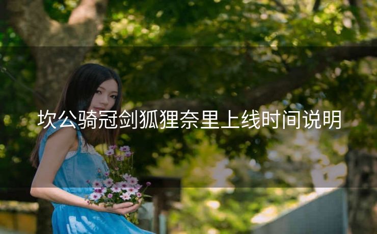 坎公骑冠剑狐狸奈里上线时间说明