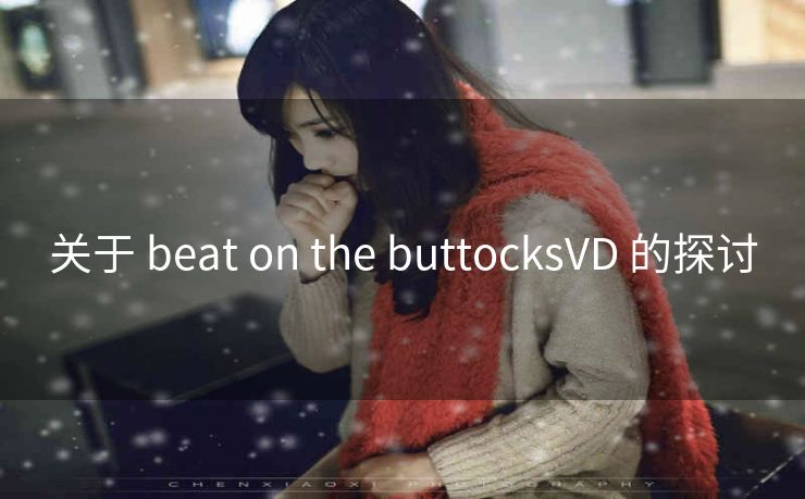 关于 beat on the buttocksVD 的探讨
