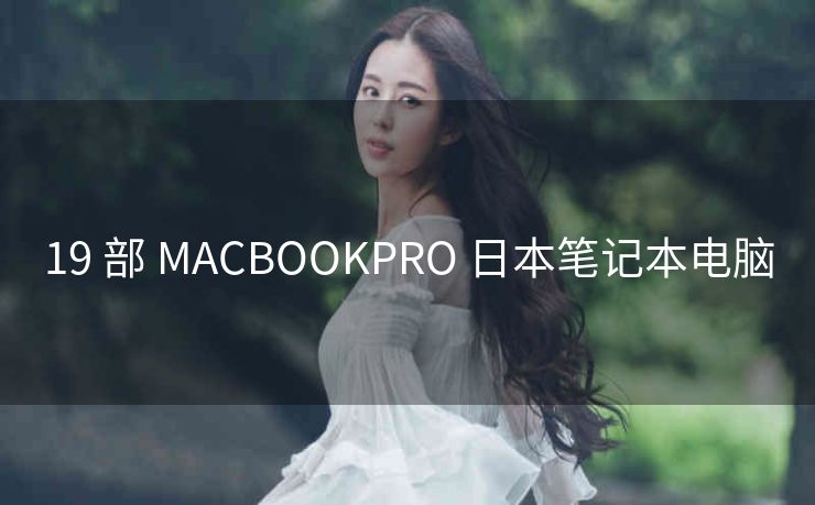 19 部 MACBOOKPRO 日本笔记本电脑