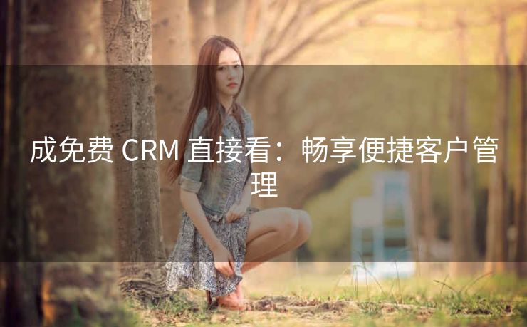 成免费 CRM 直接看：畅享便捷客户管理