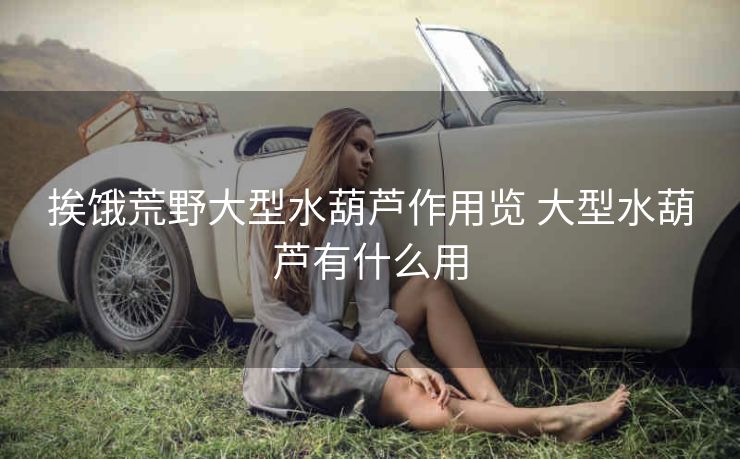 挨饿荒野大型水葫芦作用览 大型水葫芦有什么用