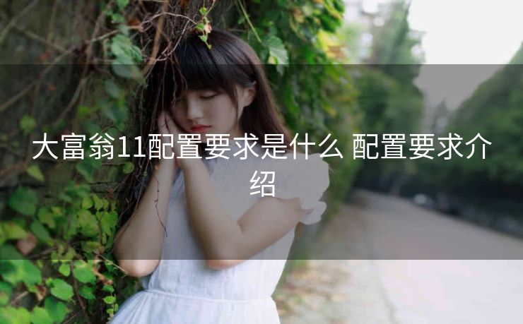 大富翁11配置要求是什么 配置要求介绍