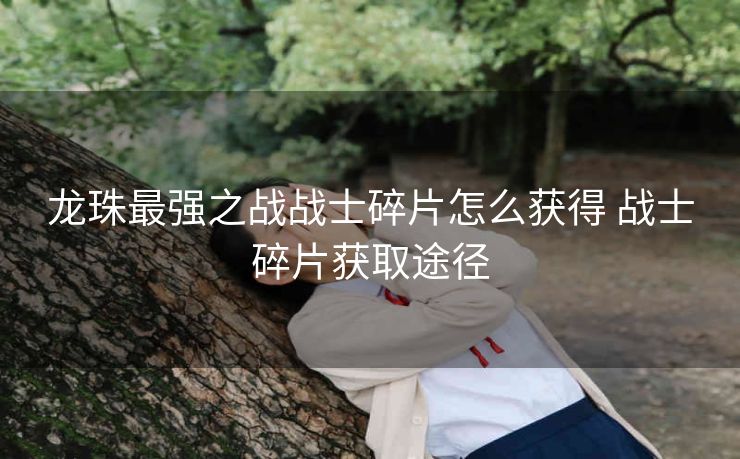 龙珠最强之战战士碎片怎么获得 战士碎片获取途径