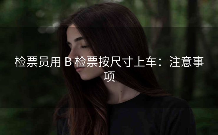 检票员用 B 检票按尺寸上车：注意事项
