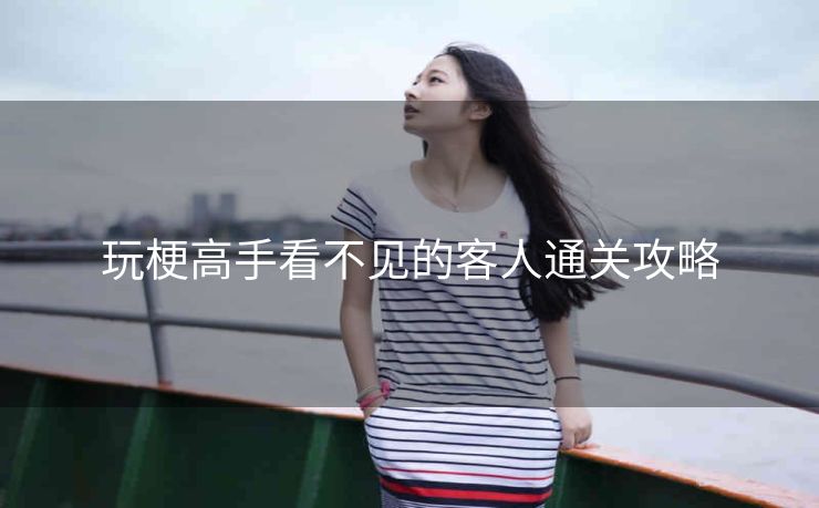 玩梗高手看不见的客人通关攻略