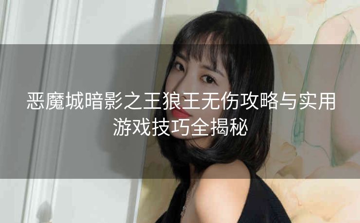 恶魔城暗影之王狼王无伤攻略与实用游戏技巧全揭秘