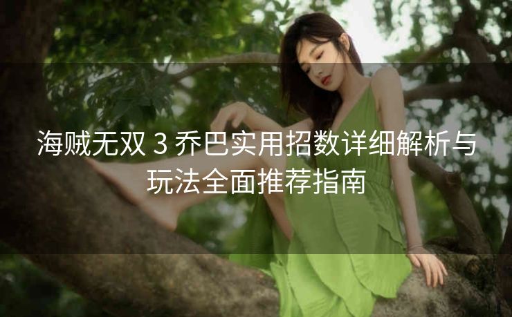 海贼无双 3 乔巴实用招数详细解析与玩法全面推荐指南
