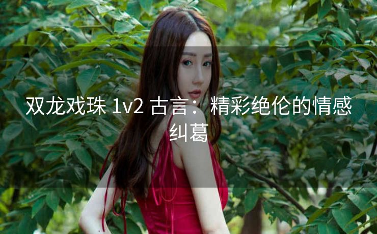 双龙戏珠 1v2 古言：精彩绝伦的情感纠葛